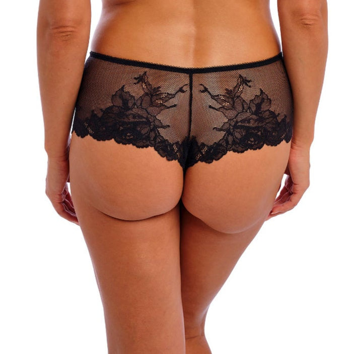 Tanga | Vivid Attraction