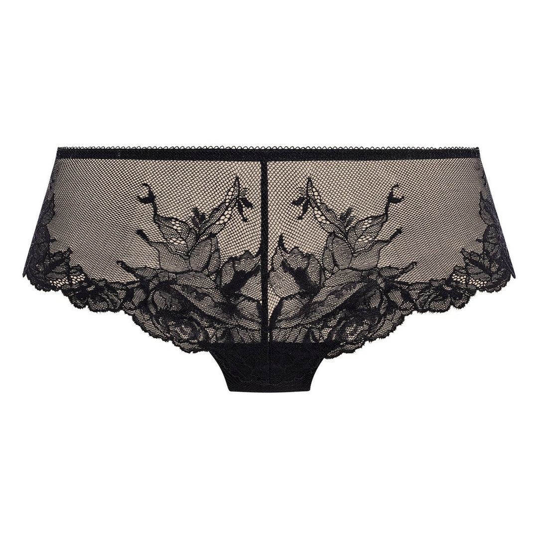 Tanga | Vivid Attraction