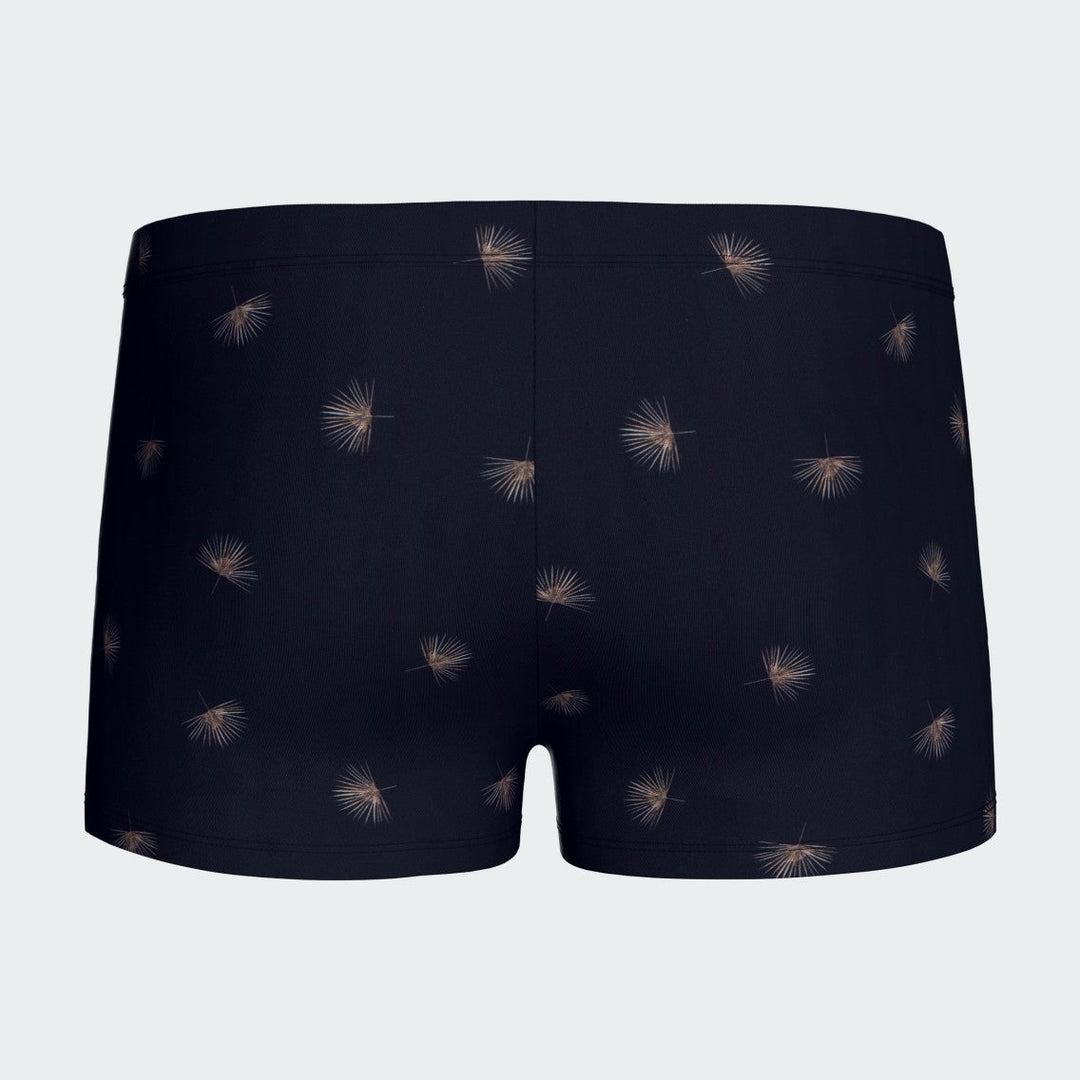 Boxer De Bain | Palmshade
