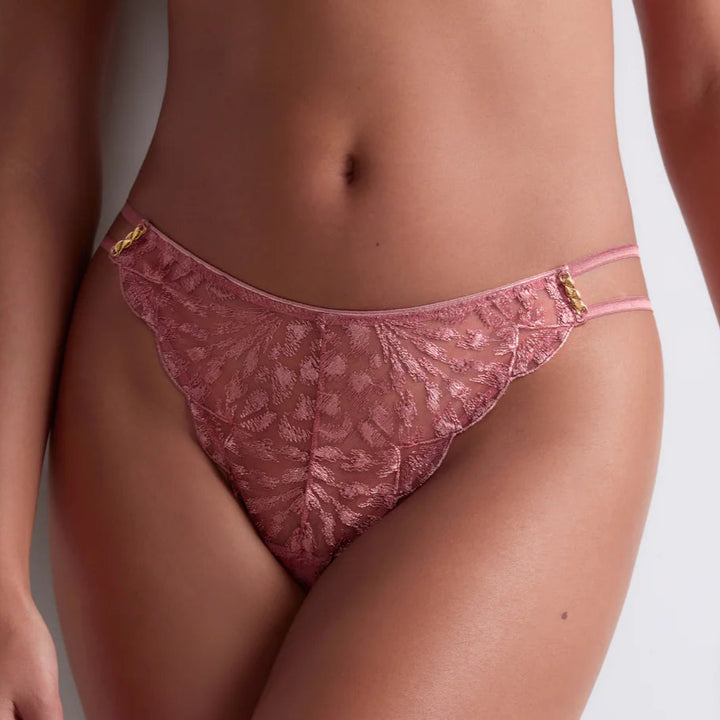 Tanga | Crazy In Love