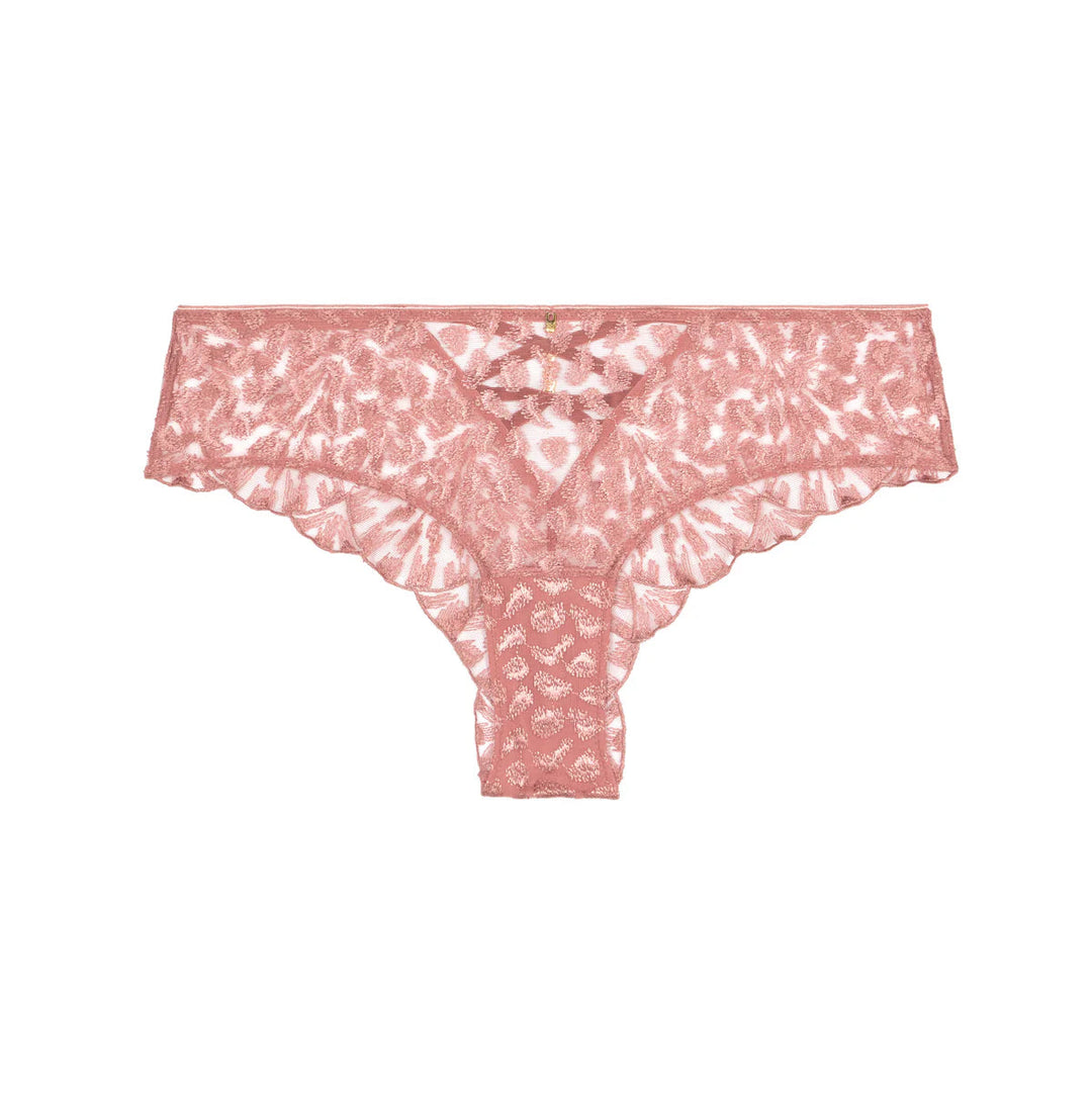 Shorty | Crazy In Love