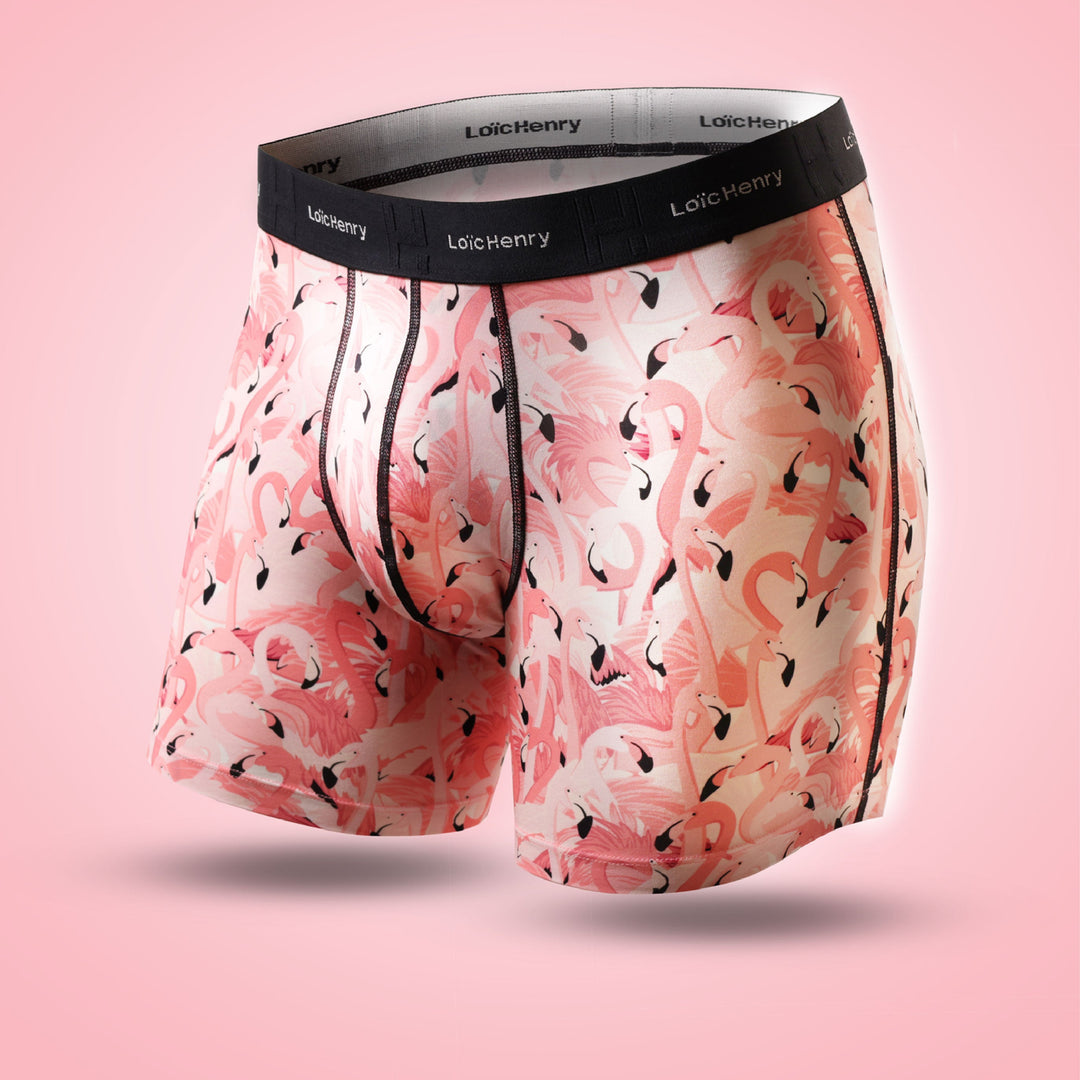 Boxer Modal | Graphic
