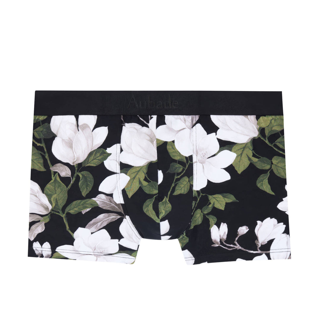Boxer | Eulen