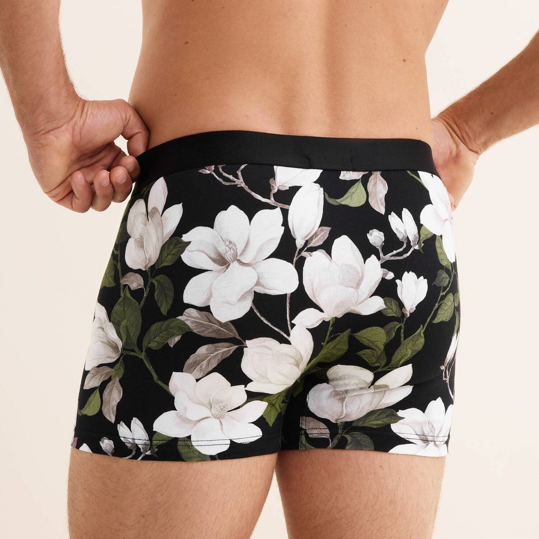 Boxer | Eulen