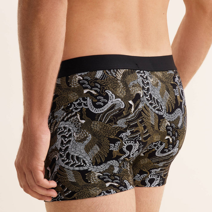 Boxer | Eulen