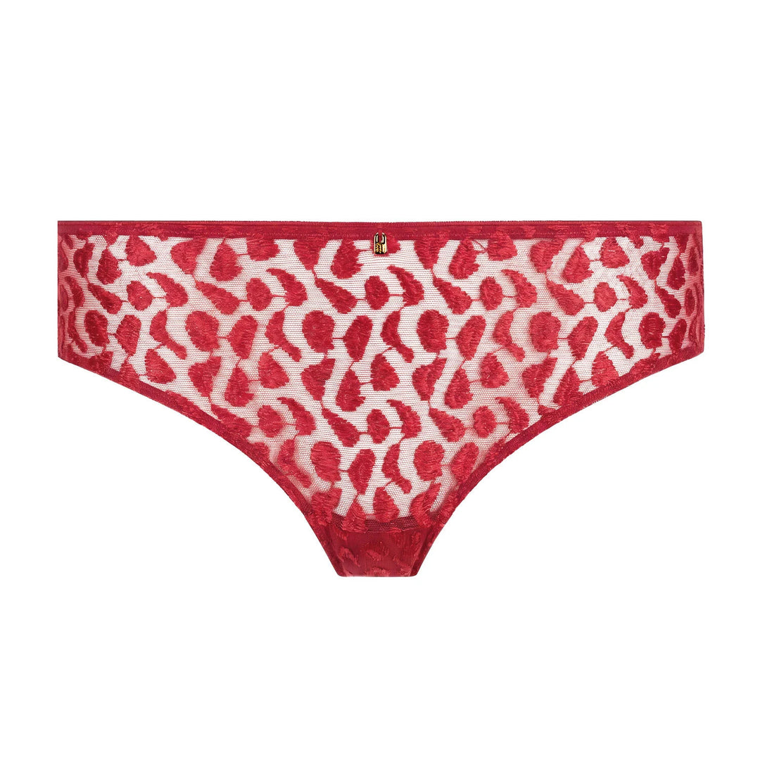 Shorty | Crazy In Love