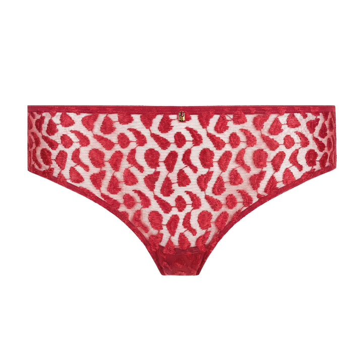 Shorty | Crazy In Love