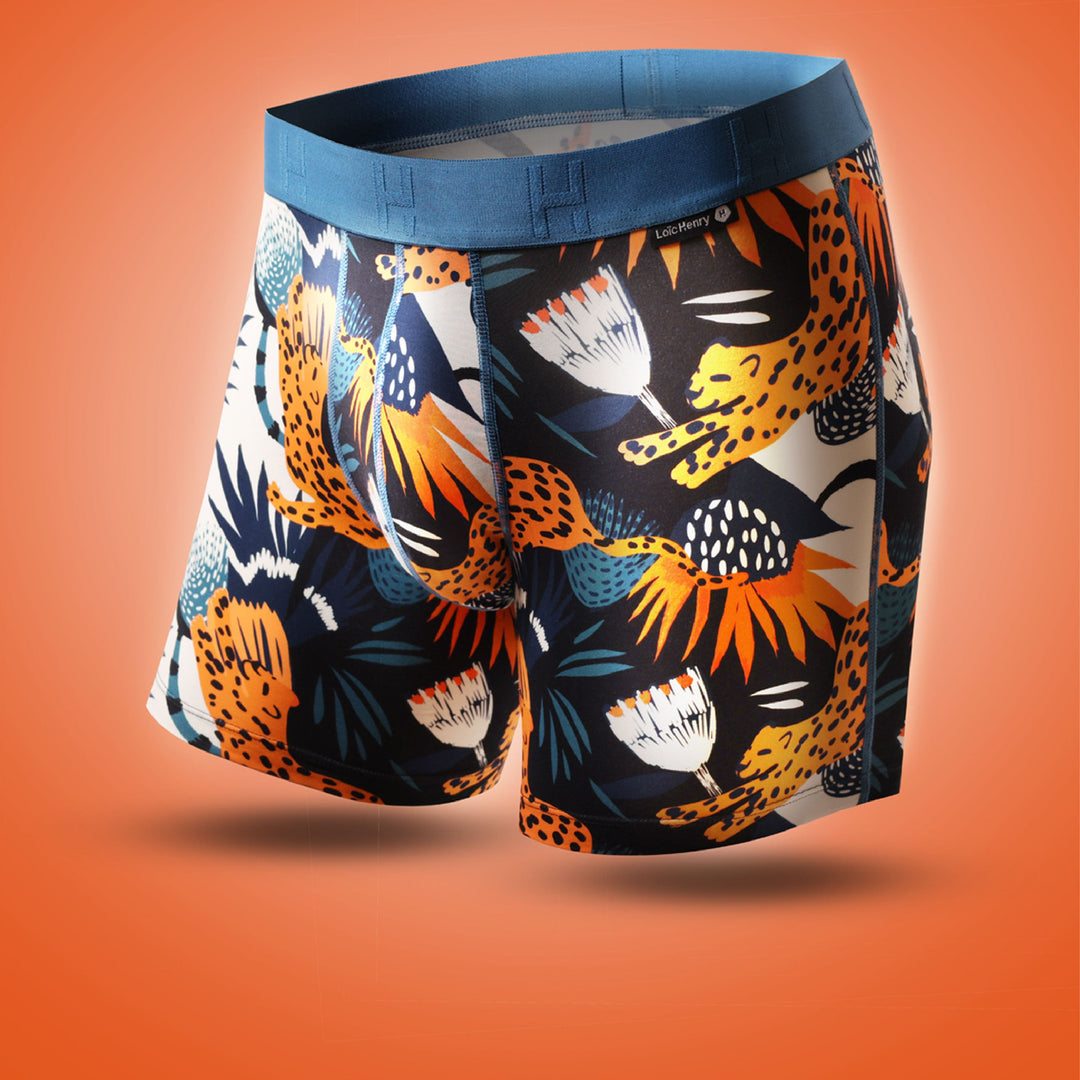 Boxer Modal Feline | Graphic