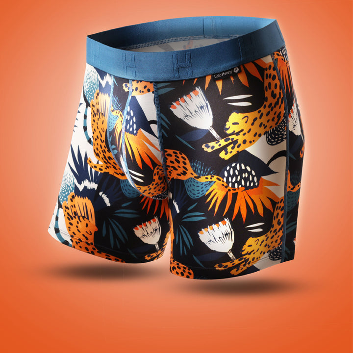Boxer Modal Feline | Graphic