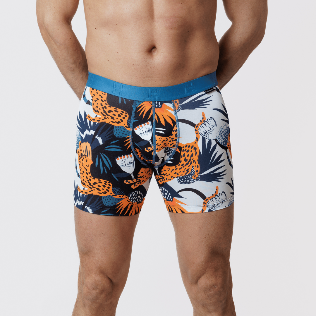 Boxer Modal Feline | Graphic