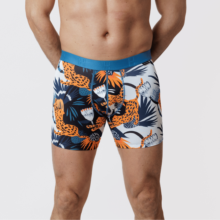 Boxer Modal Feline | Graphic