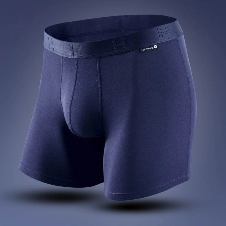Boxer Modal | Every D