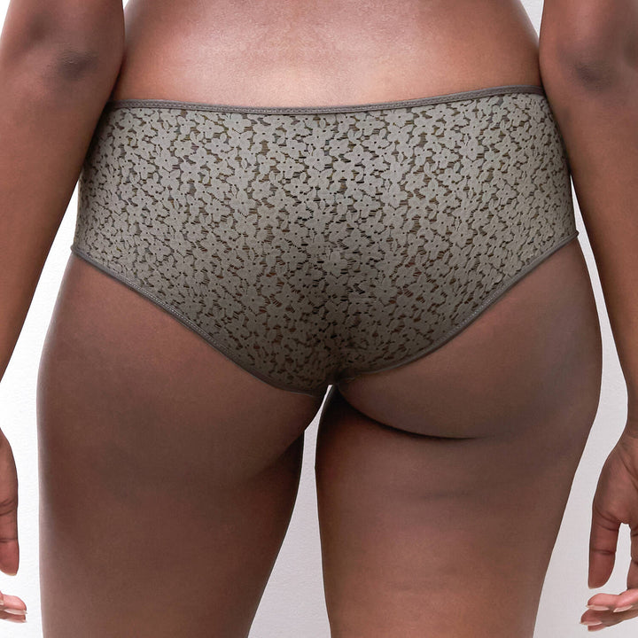 Shorty | Norah