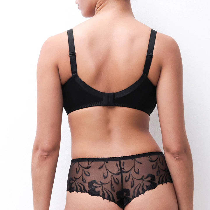 Shorty | Majestic