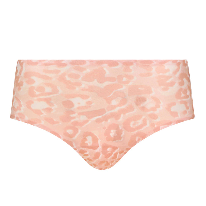 Shorty | SoftStrech