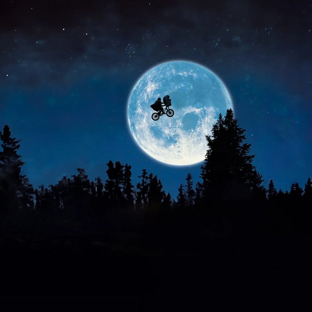 Boxer Homme Bmxplus | Fashion 2