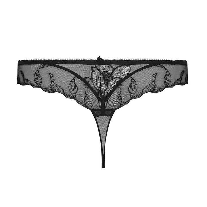 Tanga | Désir Et Volupté