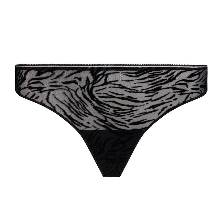 tanga | Tigre Velours